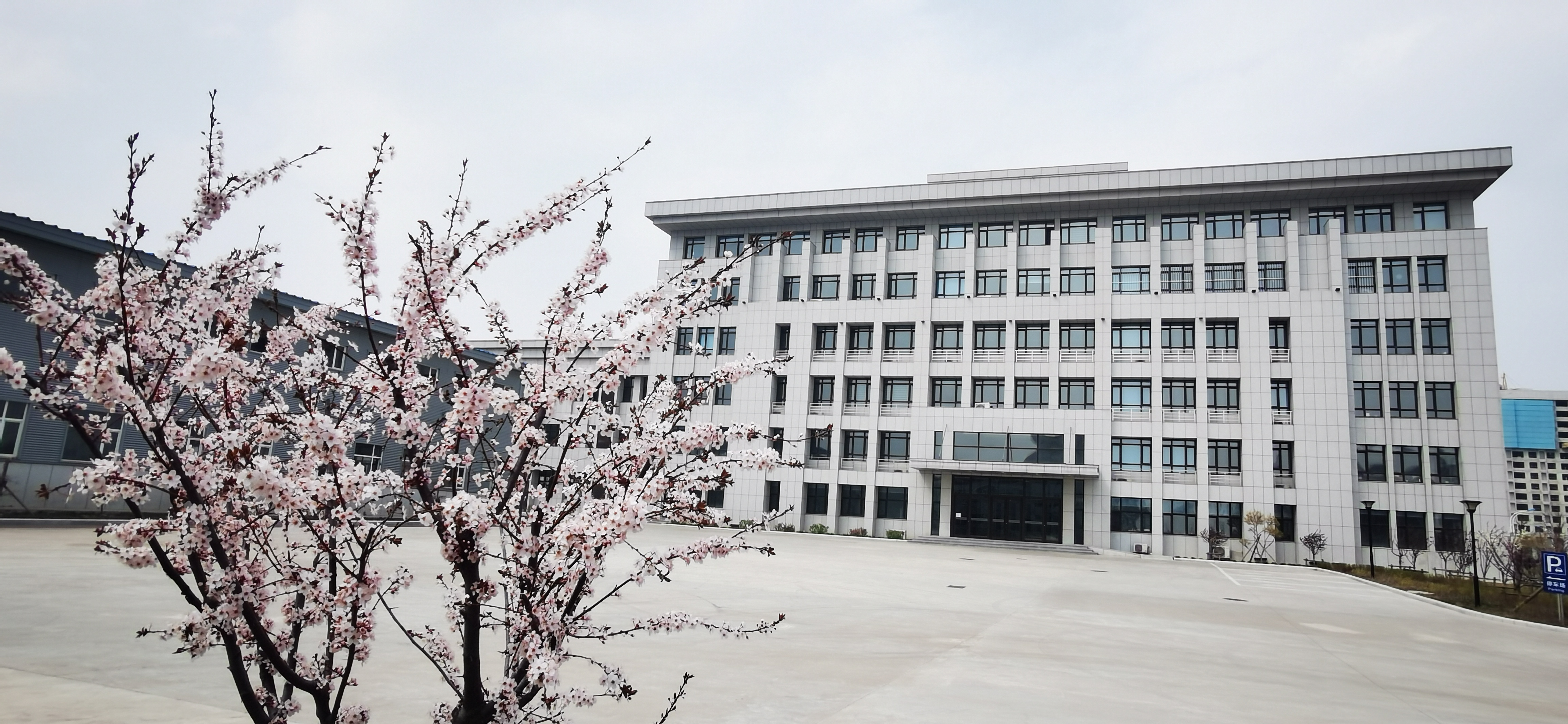 公司环境